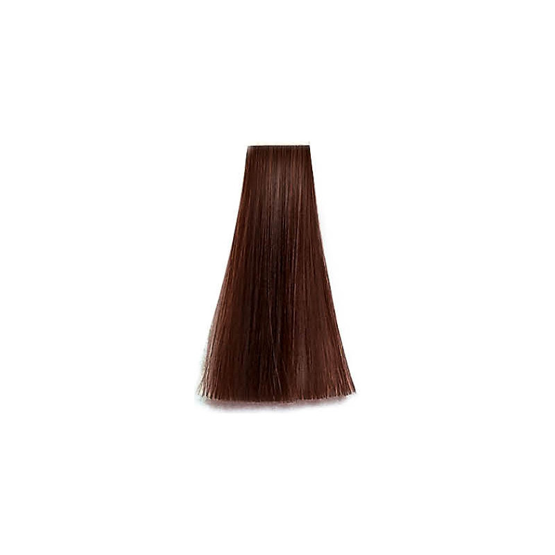 Premier Noir Colouring Cream 6 34 Dark Golden Copper Blonde