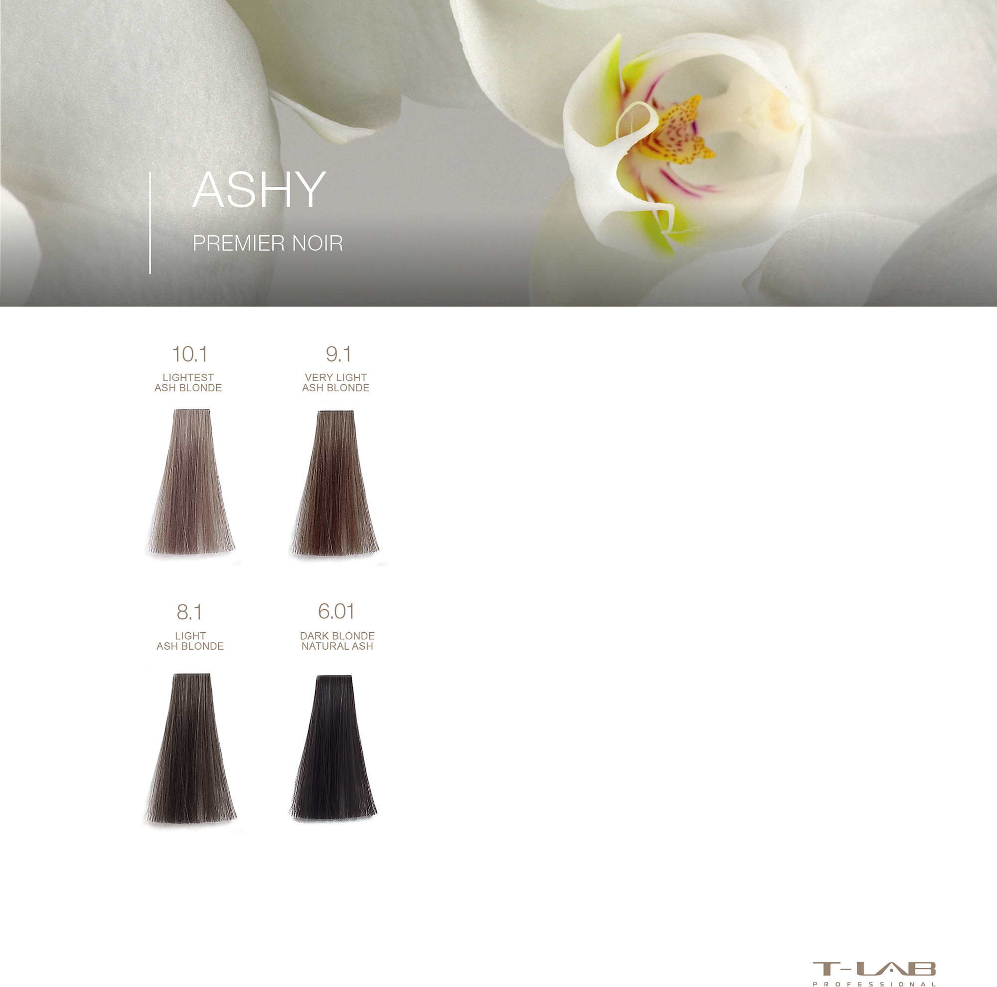 Premier Noir Colouring Cream 10.1 Lightest Ash Blonde