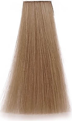 Premier Noir Colouring Cream 10.13 Lightest Beige Blonde