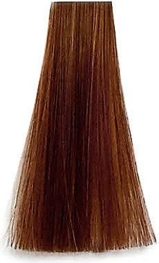 Premier Noir Colouring Cream 8.42 Light Copper Iridescent  Blonde