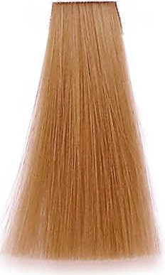 Premier Noir Colouring Cream 10.42 Lightest Copper Iridescent Blonde