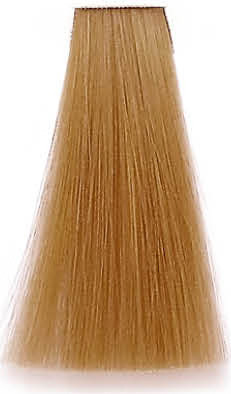 Premier Noir Colouring Cream 9.3 Very Light Golden Blonde