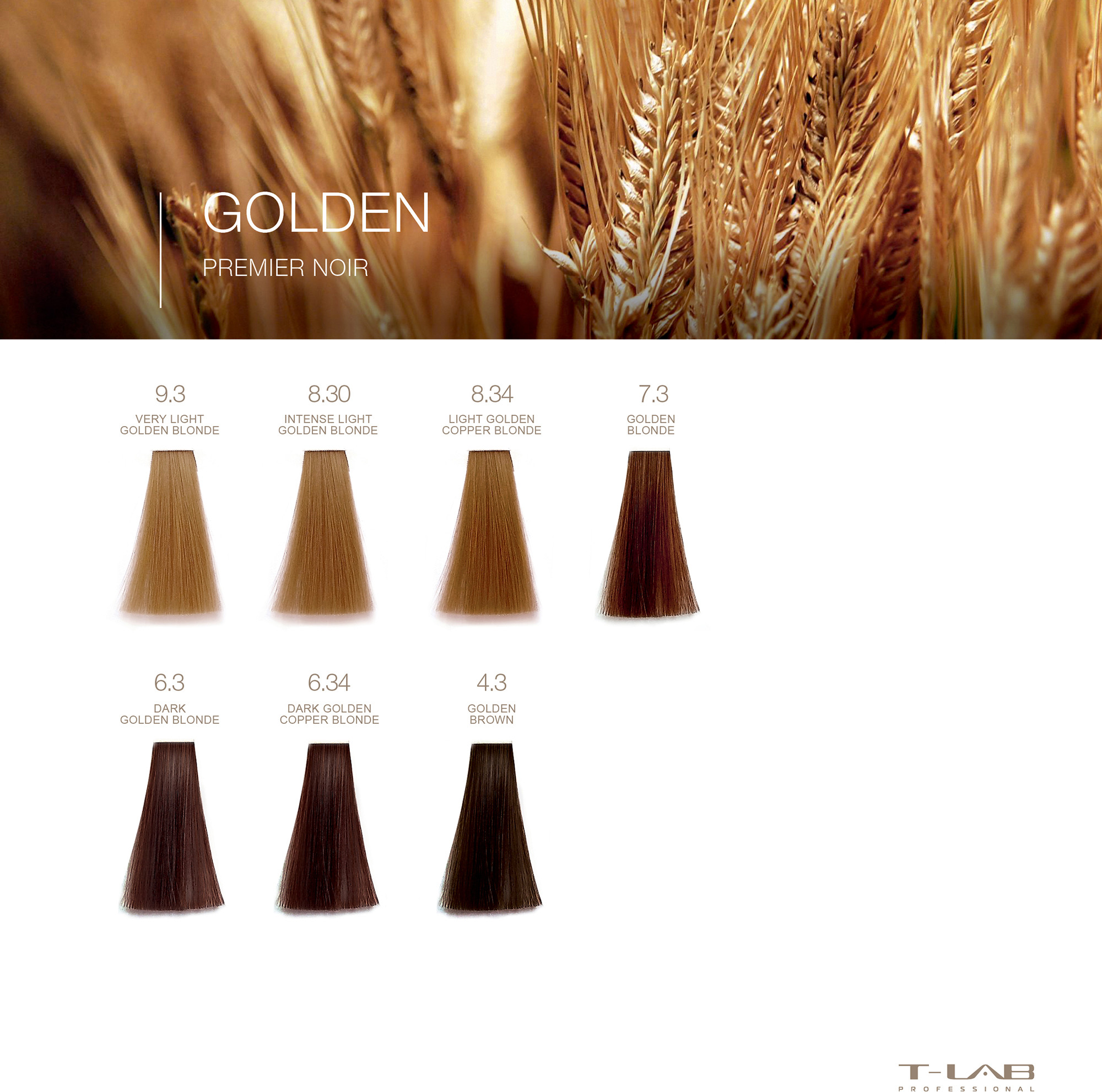 Premier Noir Colouring Cream 8.34 Light Golden Copper Blonde