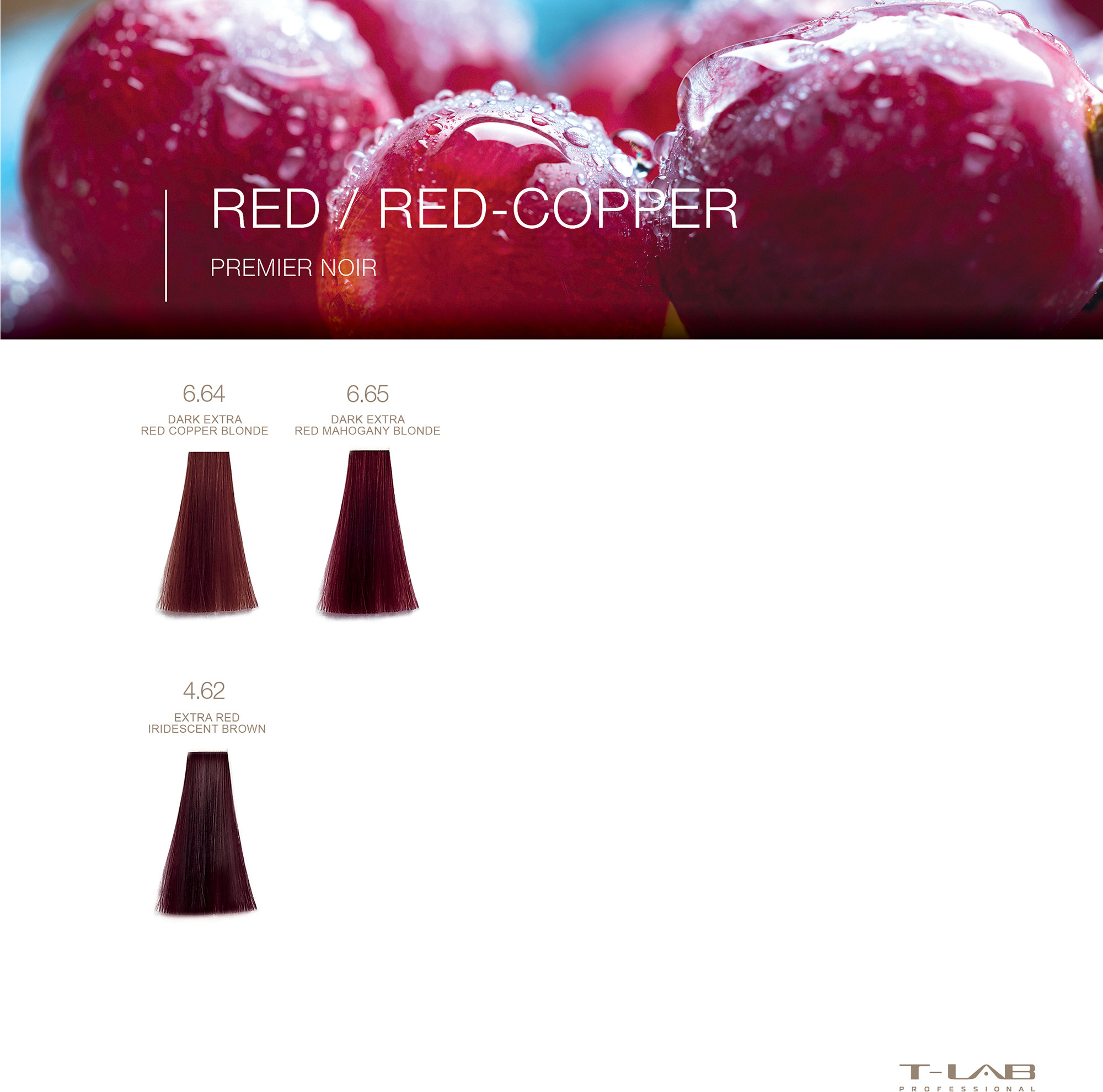Premier Noir Colouring Cream 6.65 Dark Intense Red Mahogany Blonde