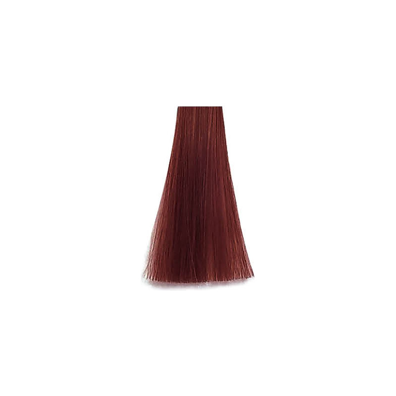 Premier Noir Colouring Cream 6.64 Dark Extra Red Copper Blonde
