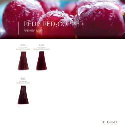 Premier Noir Colouring Cream 6.64 Dark Extra Red Copper Blonde