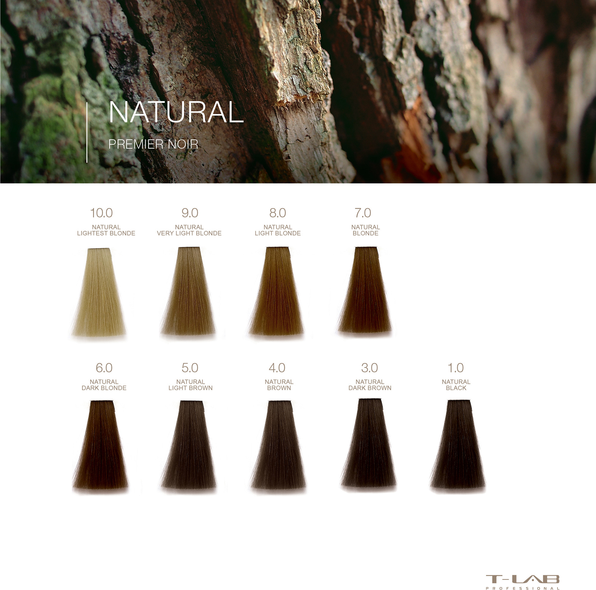 Premier Noir Colouring Cream 5.0 Natural Light Brown